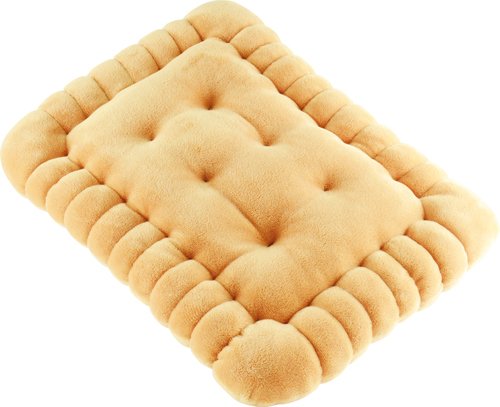 BISCUIT Coussin 40 cm