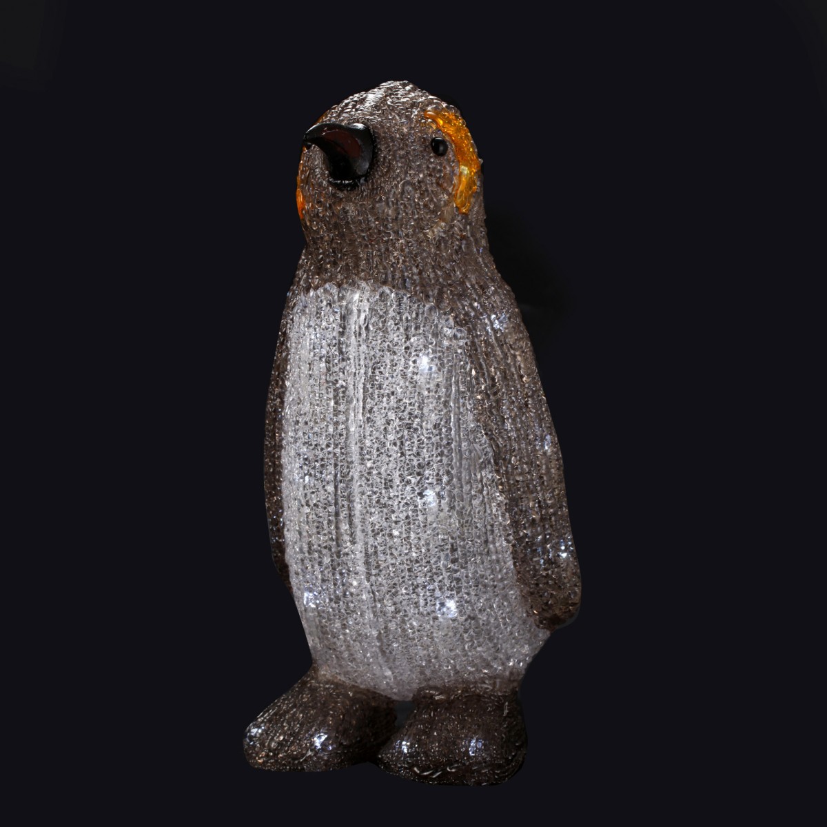 Pinguin solaire  LED