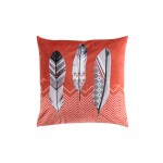 Coussin dhoussable Plumes Indiany