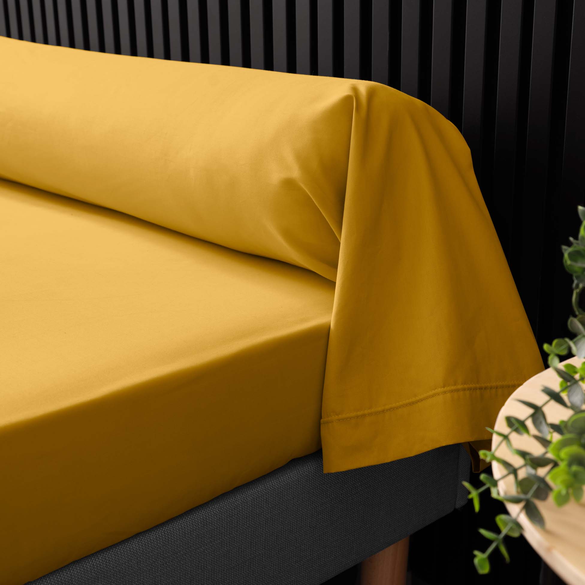 Taie de traversin 85 x 185 cm Percale de coton jaune curry