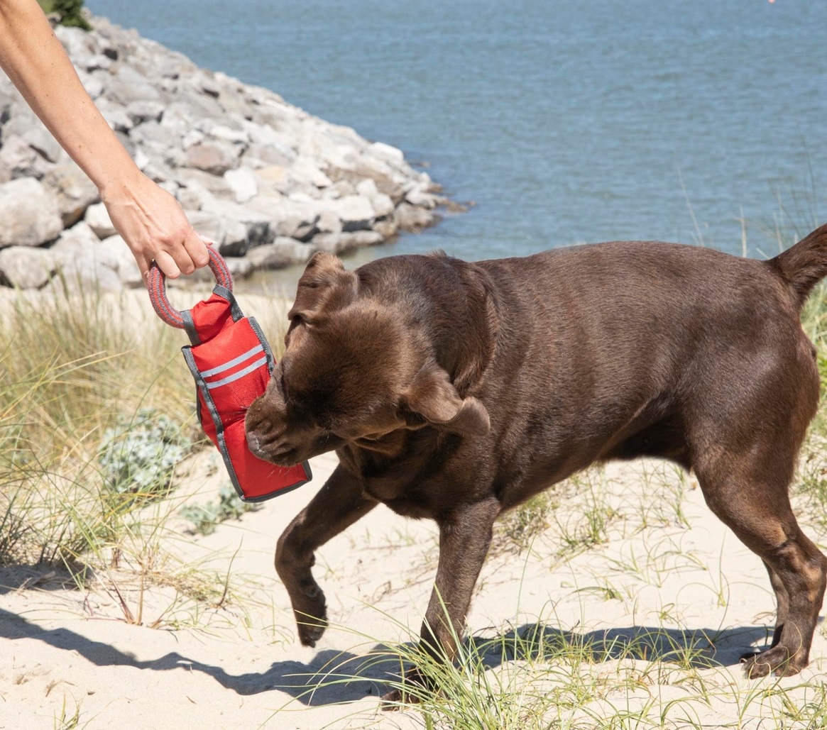 Jouet fitness pour chien