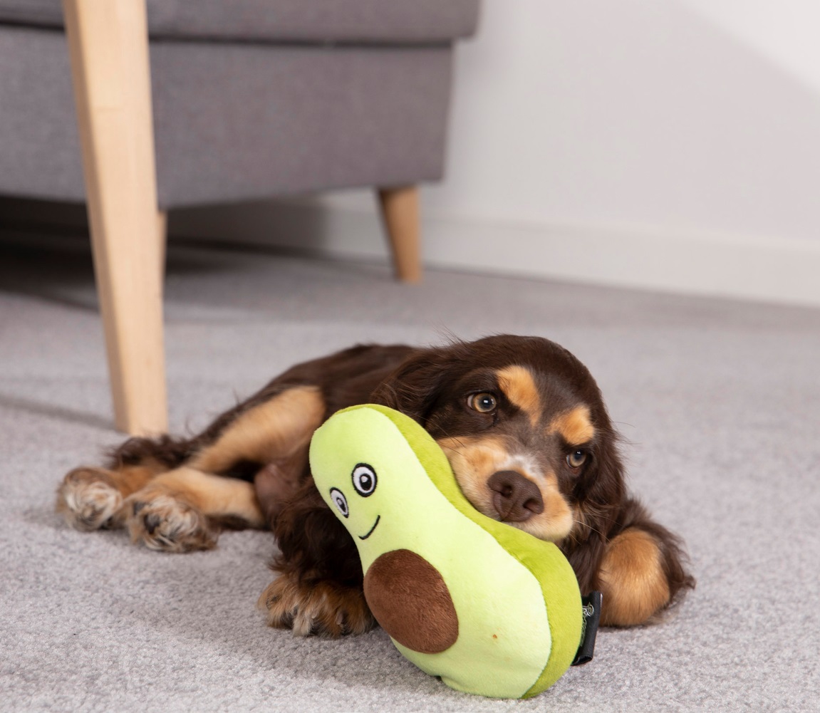 Jouet en peluche Poire pour chien