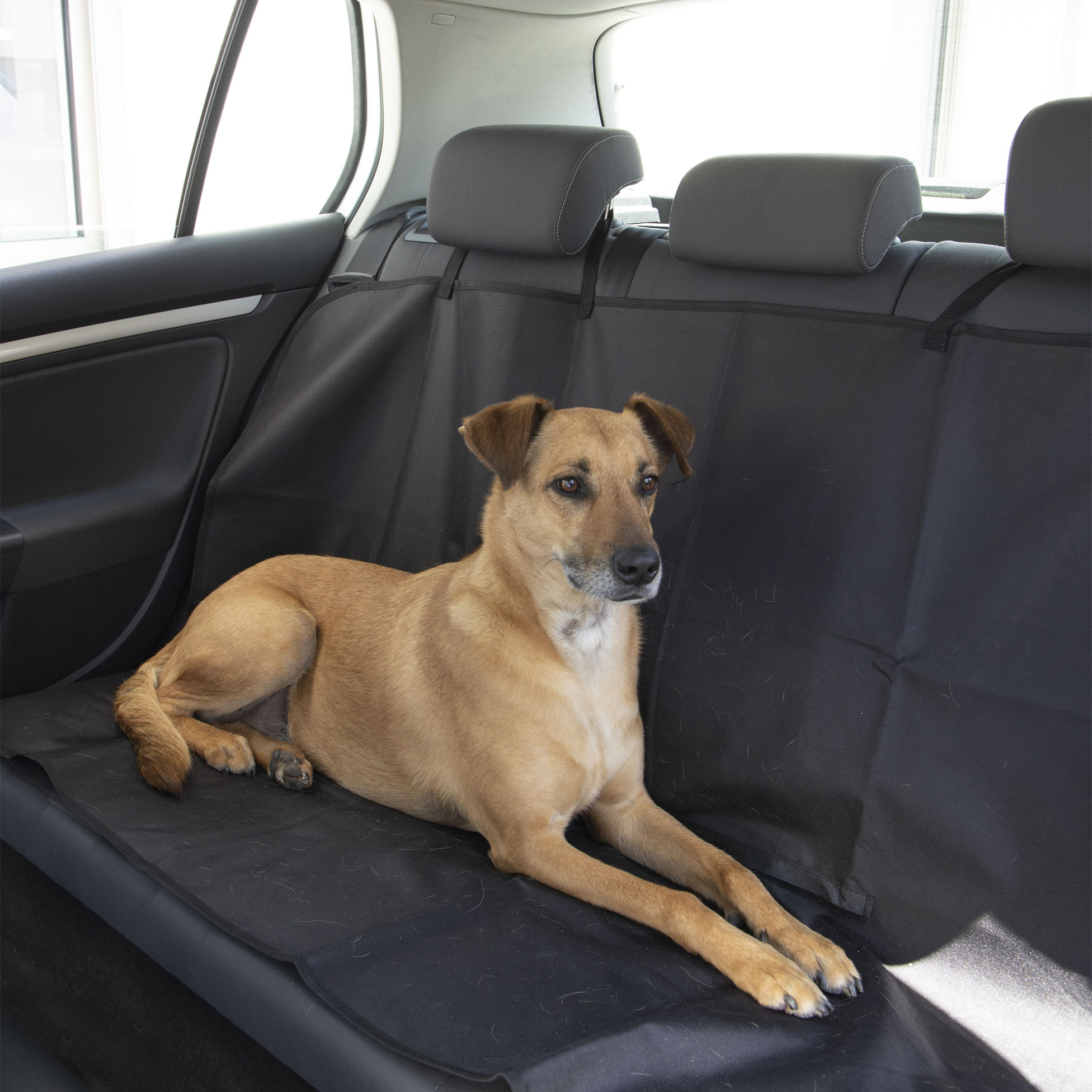 Housse de protection voiture pour animaux