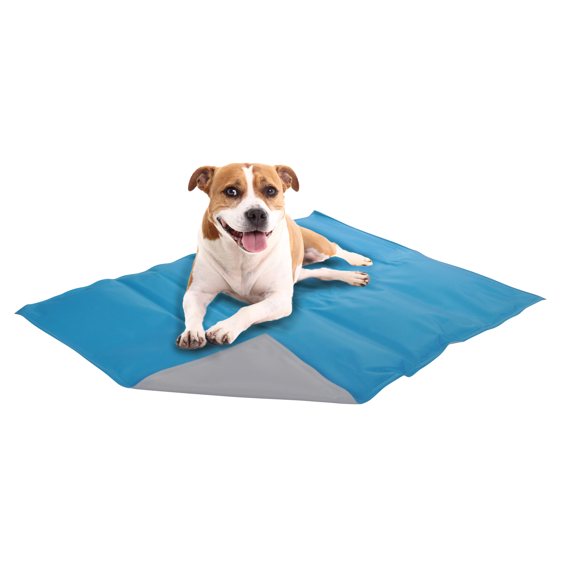 Coussin matelas rafraichissant pour chien  90 x 50 cm