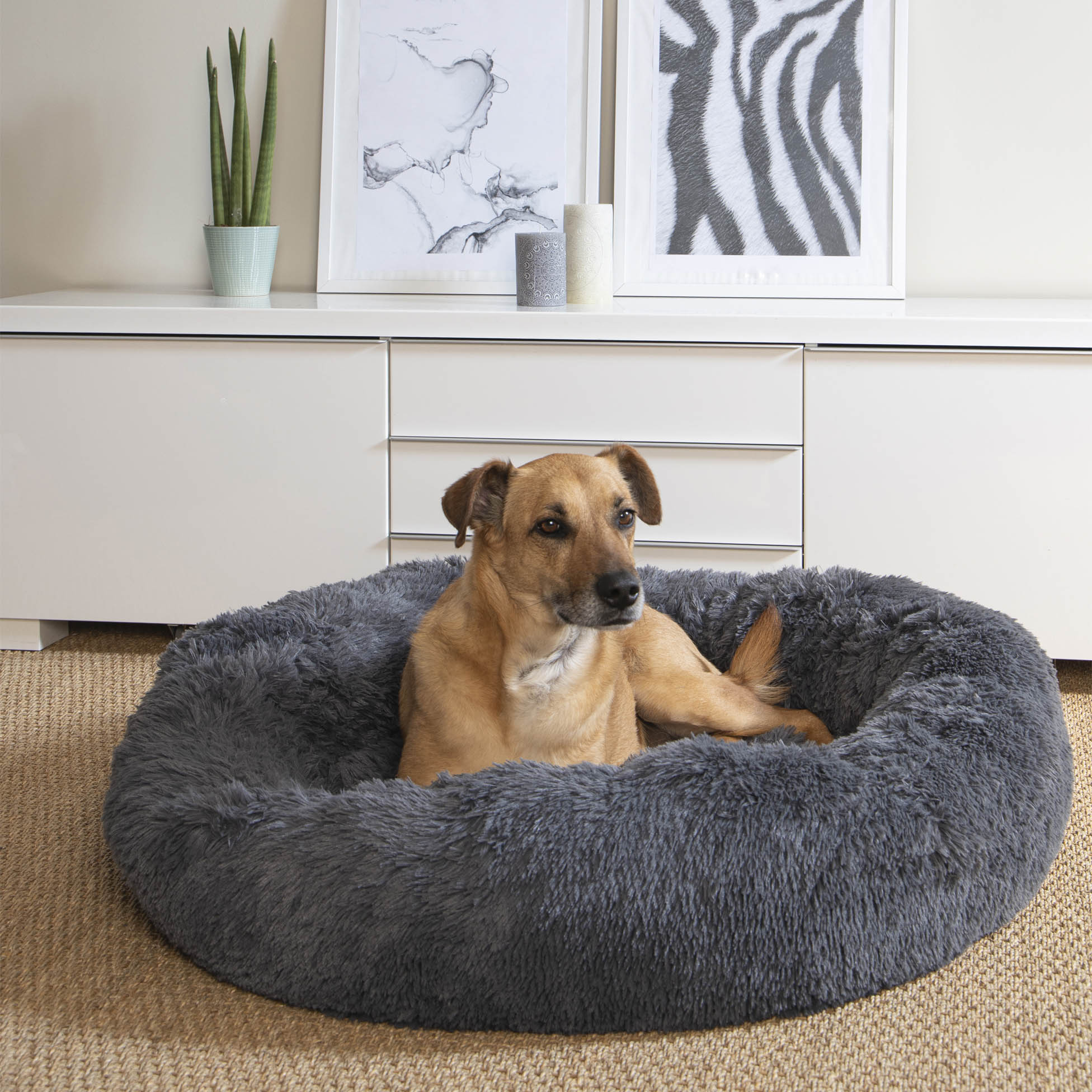 Coussin rond Chat ou Chien Relax Anthracite