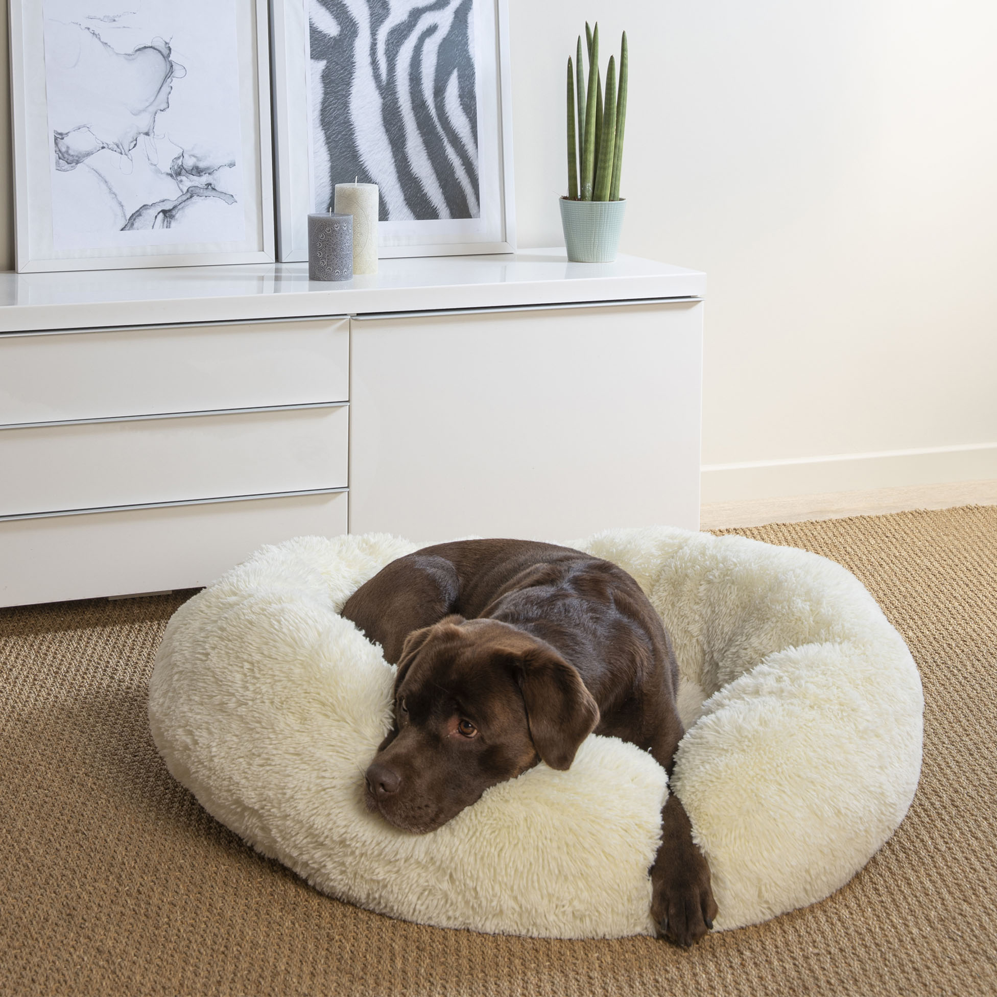 Coussin rond Chat ou Chien Relax Ecru