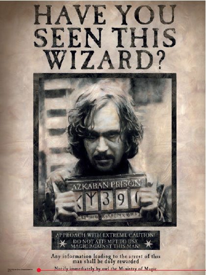 Harry Potter poster en verre Sirius 30 x 40 cm