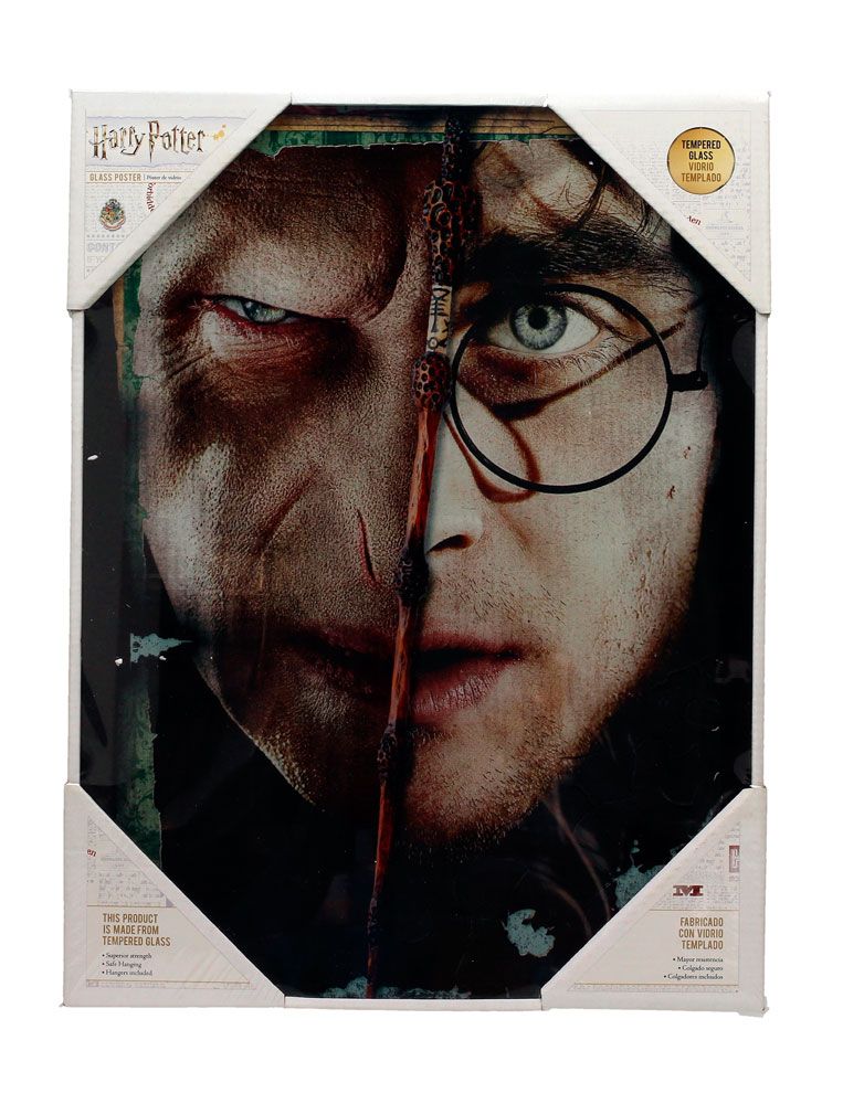 Harry Potter poster en verre Harry & Voldemort 30 x 40 cm