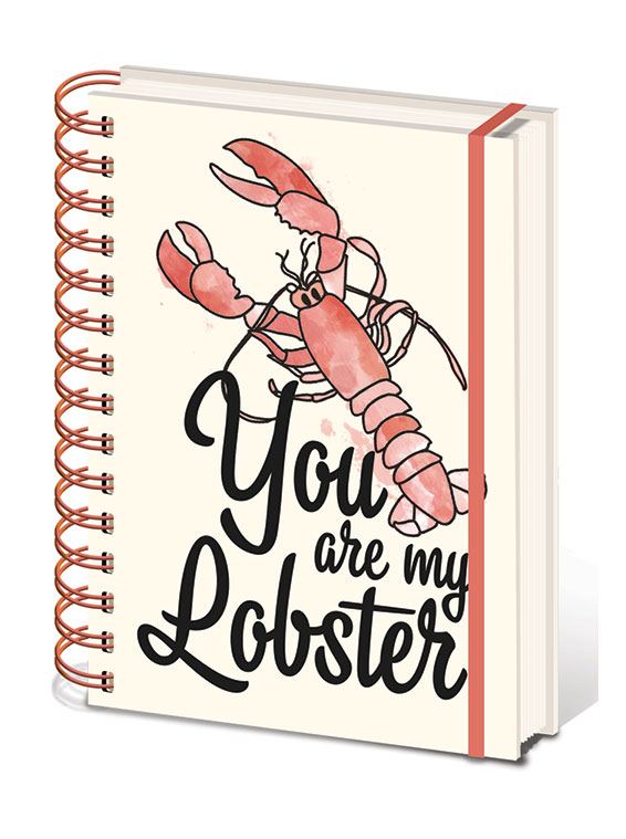 Friends cahier  spirale A5 Wiro You are my Lobster