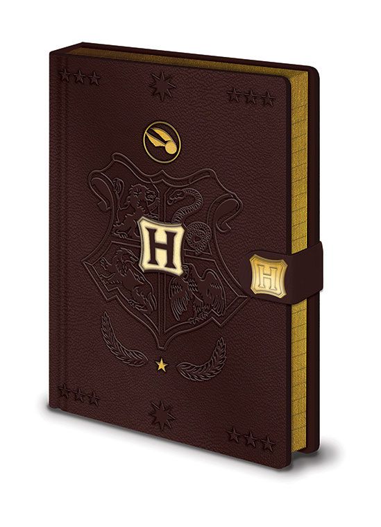 Harry Potter carnet de notes Premium A5 Quidditch