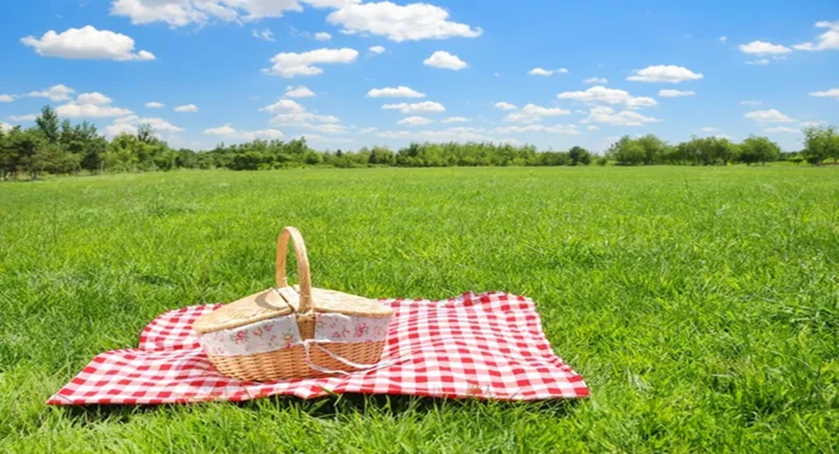 art de la table