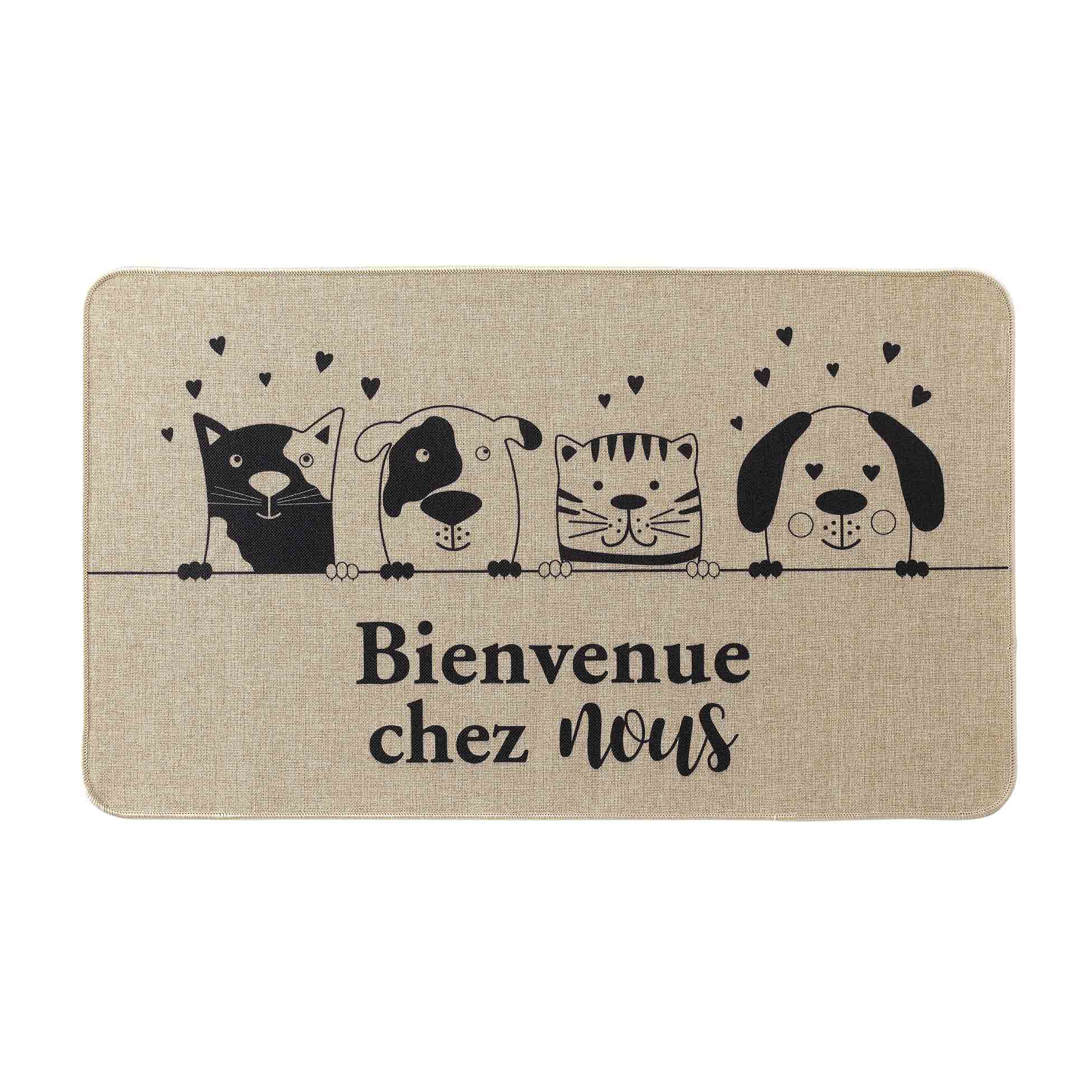 Tapis d'entree 45 x 75 cm Bienvenue chez nous