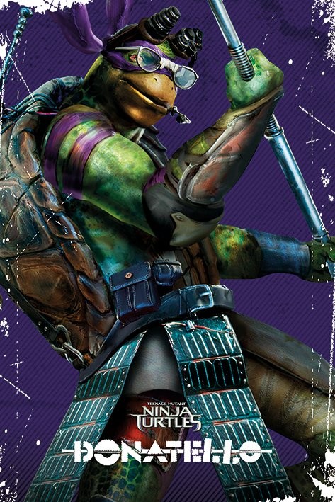 LES TORTUES NINJA Poster Donatello Pose 61 x 91 cm