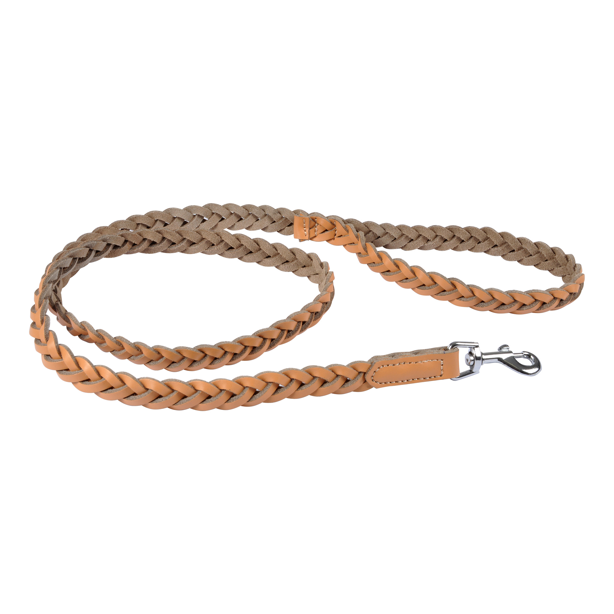 Laisse en cuir tresse pour chien