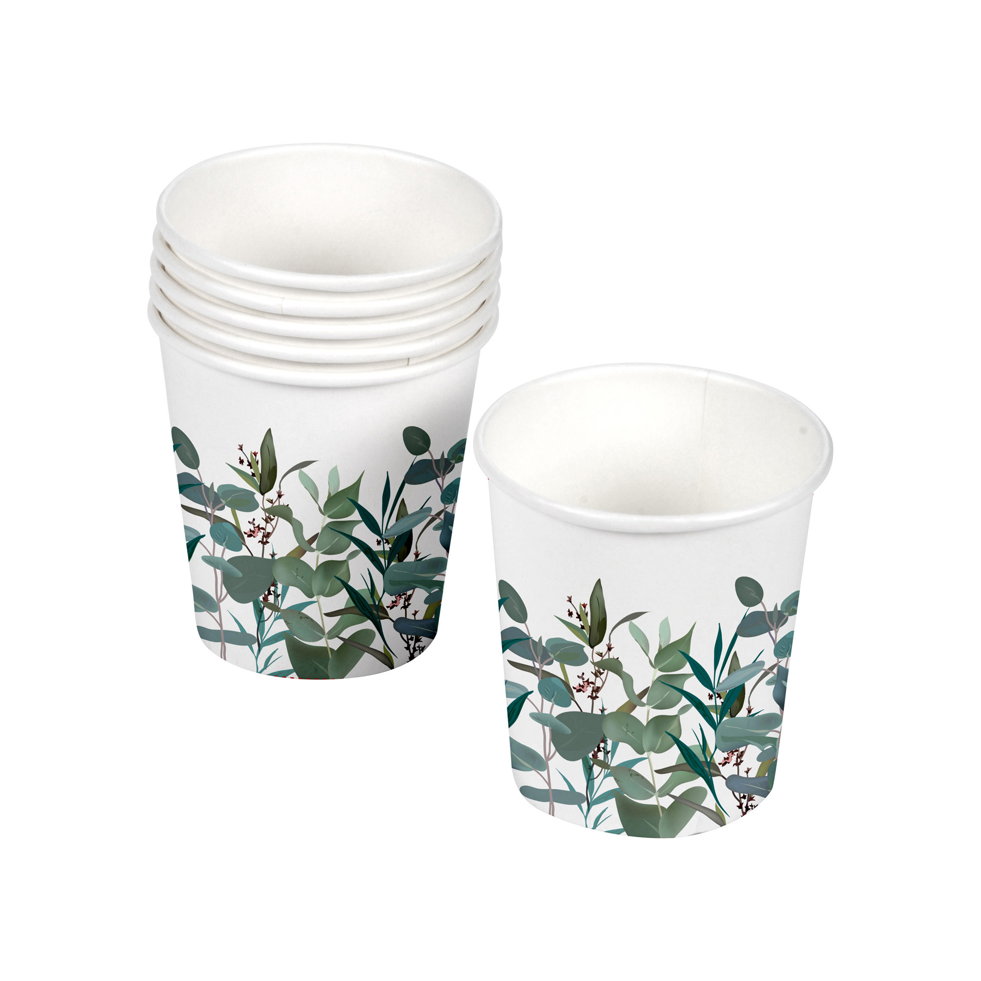 Set de 10 gobelets en carton Branche d'eucalyptus