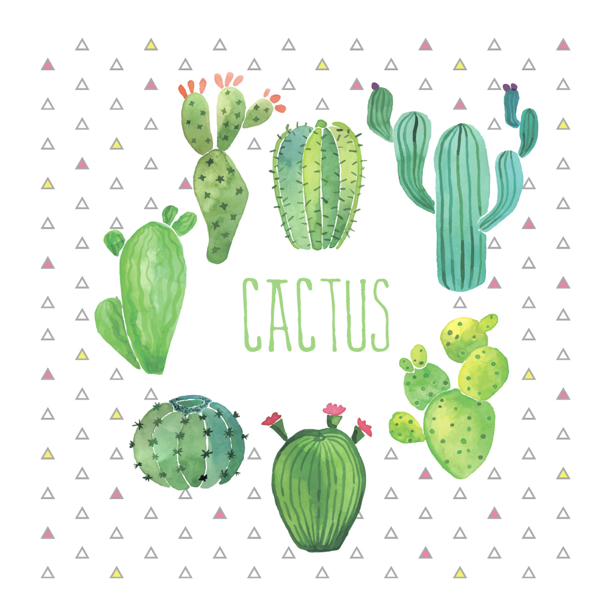 Lot de 20 serviettes en papier cactus