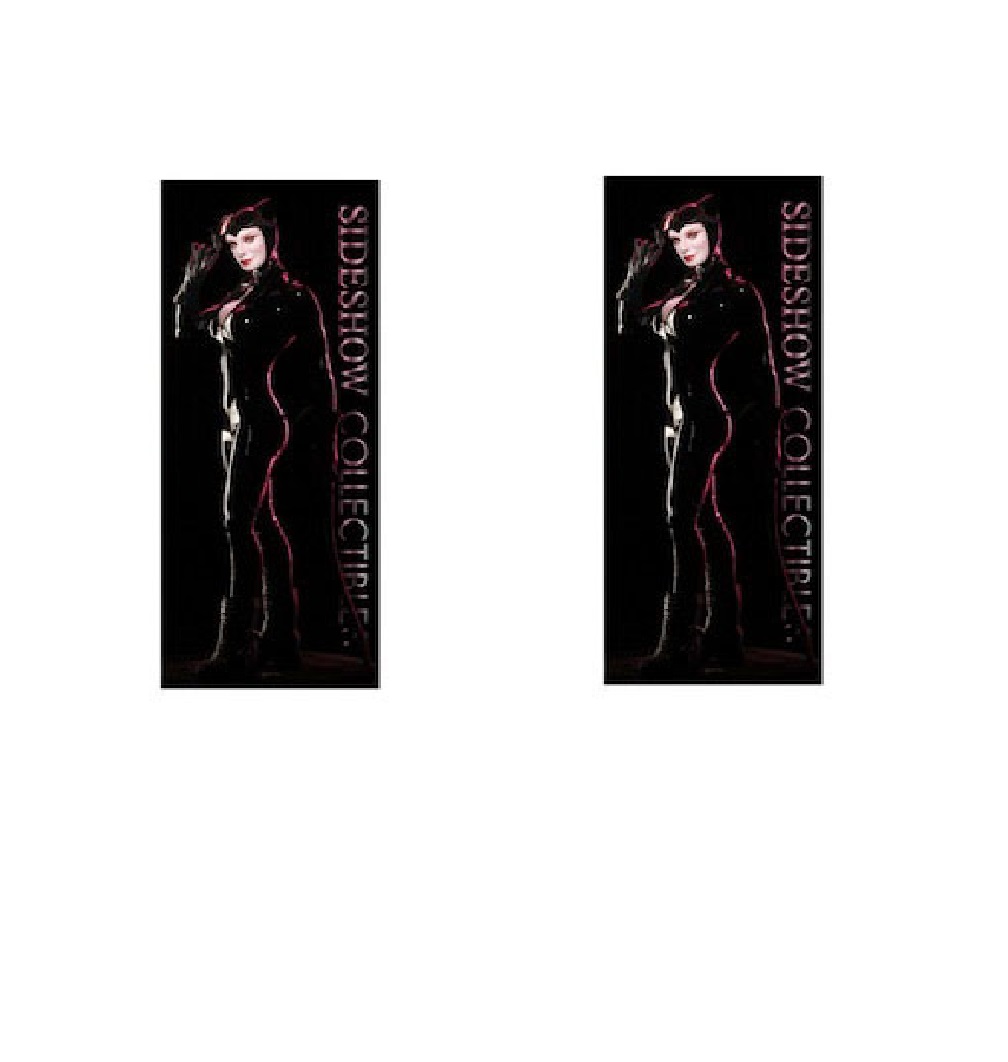 BATMAN Sideshow Collectibles bannire DC Comics Catwoman 50 x 122 cm