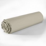 Drap housse coton uni 90 x 190 cm Passion beige