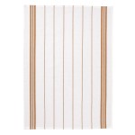 Lot de 2 torchons ray terracotta 50 x 70 cm  Coton  Absorbant et dcoratif