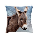 Coussin 40 x 40 cm Frimousse d'ane