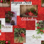 Nappe Toile cire au mtre Modele Clbration de Noel