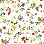 Nappe Toile cire au mtre Lydia fruits