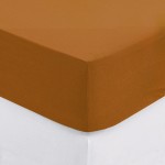 Drap housse coton uni 140 x 190 cm Couleur moderne cumin