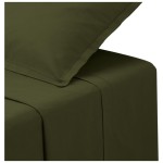 Drap plat 240 x 290 cm Contemporain kaki