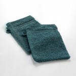 Lot de 2 gants de toilette 15 x 21 cm Tendresse emeraude