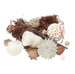 Boite de jouets riche en saveurs et textures pour rongeurs