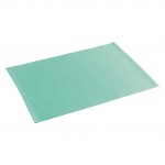 Set de table Miami Menthe 33 x 45 cm