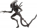 Figurine articulee Alien resurrection Xenomorph Warrior 12 x 24 cm