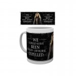 Harry Potter mug Hermione Quote