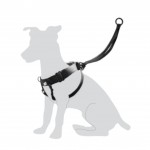 Harnais Easy Walker promenades confortables et sans traction M