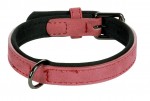 Collier pour chien avec doublure n�opr�ne XS / S 24-30cm 15mm rouge
