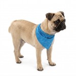 Bandana rafra�chissant Fresk Bleu S 52 x 22 cm pour Chien