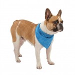 Bandana rafra�chissant Fresk bleu M 70 x 25 cm pour Chien