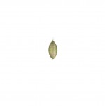 1 boule forme oeuf de Noel paillettes