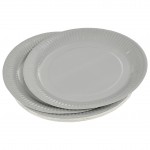 Set de 20 assiettes carton 23 cm Unies gris