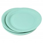 Set de 20 assiettes carton 23 cm Unies sauge