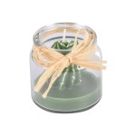 Bougie en verrine cactus