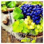 Lot de 20 serviettes en papier vendanges