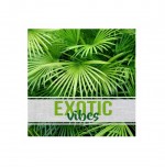 Lot de 20 serviettes papier Exotic vibes