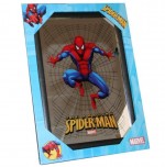 SPIDERMAN Marvel Cadre miroir The Amazing Spider-Man