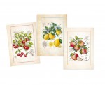 Lot de 3 Torchons Fruits