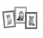 Lot de 3 Torchons Chatons