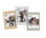 Lot de 3 Torchons Chats choupinou