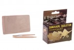 1 Kit de fouille archologique - Squelette de Dinosaure 7.5 x 6 cm