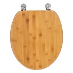 Abattant WC design