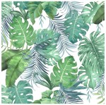 Rouleau de nappe toile ciree 20 m Tropic calanko